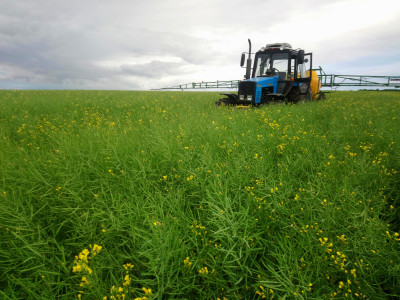 посёлок Подборный посёлок Подборный.